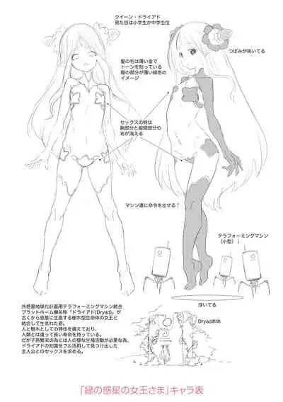 Soutaisei Virgin Theory