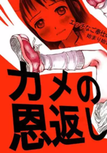 [Heikou Ki Kaigakuron (Gomennasai)] Kame no Ongaeshi