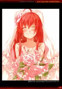 Dies irae Visual Fanbook - Red Book (Resale Version)