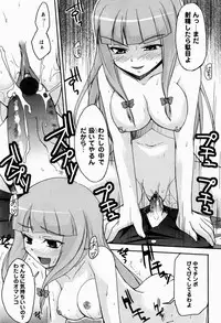 [Nippori] Daisy Blue