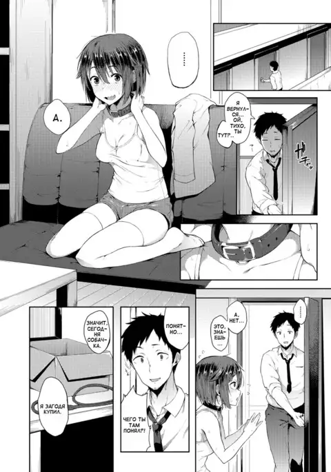 Wonder Collar Чудо-ошейник