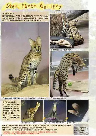 may Kemono Friends Thre Goudoushi