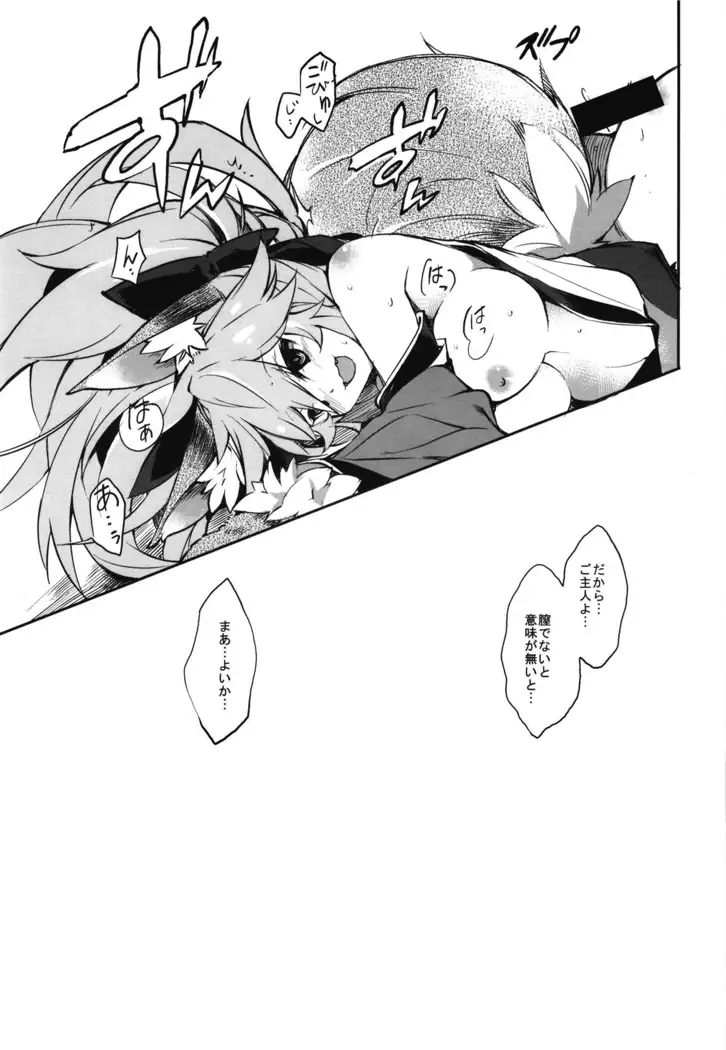 Cat-chan Kozukuri Daisakusen