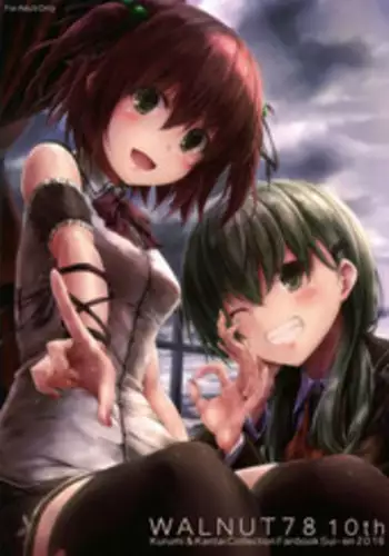 (C91) [Sui-en (Sui-en)] WALNUT78 10th (Kantai Collection -KanColle-)