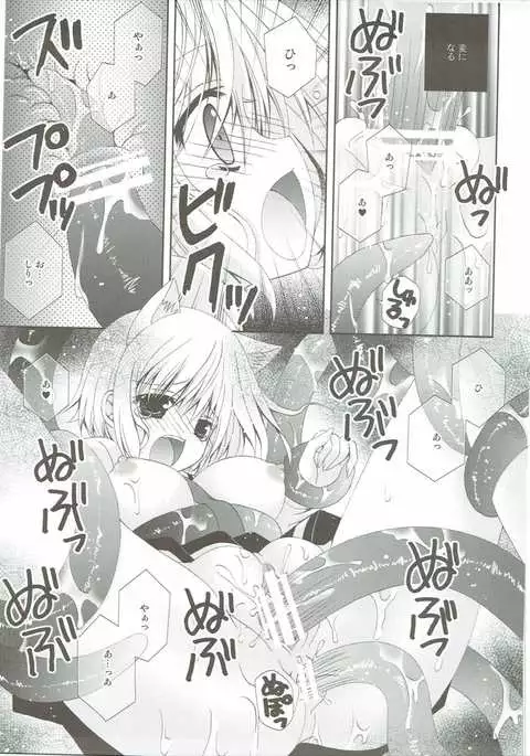 Kudamimi na Nyanko