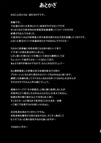 Raygis Valicess Elsain "Hajigyaku no Reigokutou Kouhen"