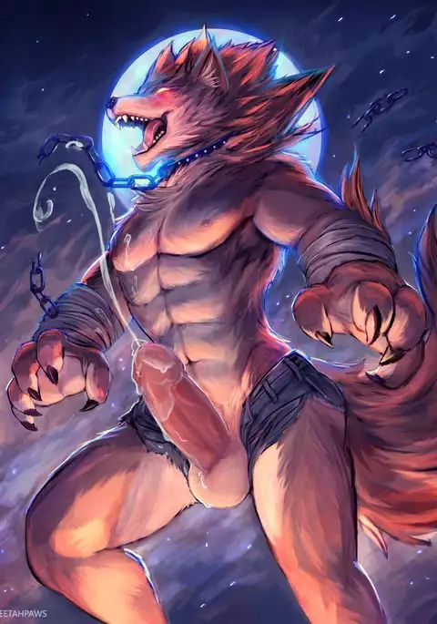 October 2017 Package Reward