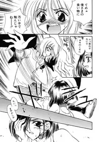 [Kirisawa Mint] Energya