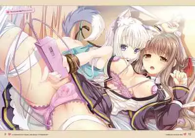 オトメスイッチビジュアルファンブック OTOMEMORY ~オトメモリー~