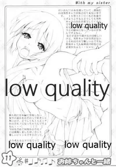 お姉ちゃんといっしょ