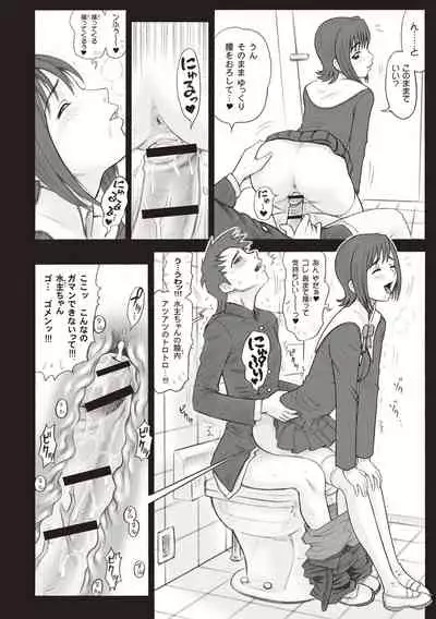 Shiritsu Risshin Gakuen -Seishori Iin to, Sono Oshigoto.