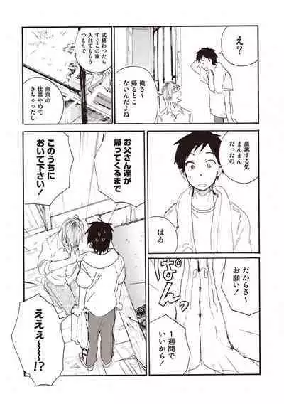 Hatomugi Batake de Tsukamaete - The Catcher in the Hato