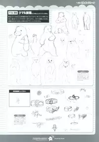 Tsunagaru Bangle - Visual Fan Book