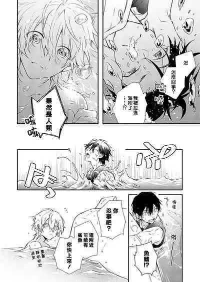 Shiokaze Mellow | 海风轻柔