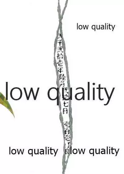 愛しき虎龍は心中に微睡む