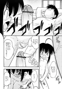 [yeahhhy tomii] Meconopsis