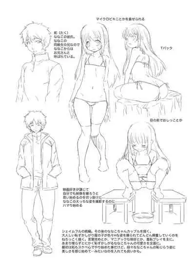 Soutaisei Virgin Theory