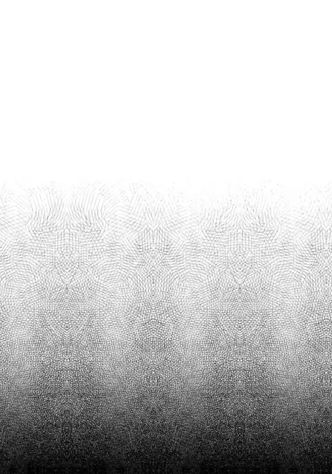 Can a Little Orc Impregnate an Elven Princess?