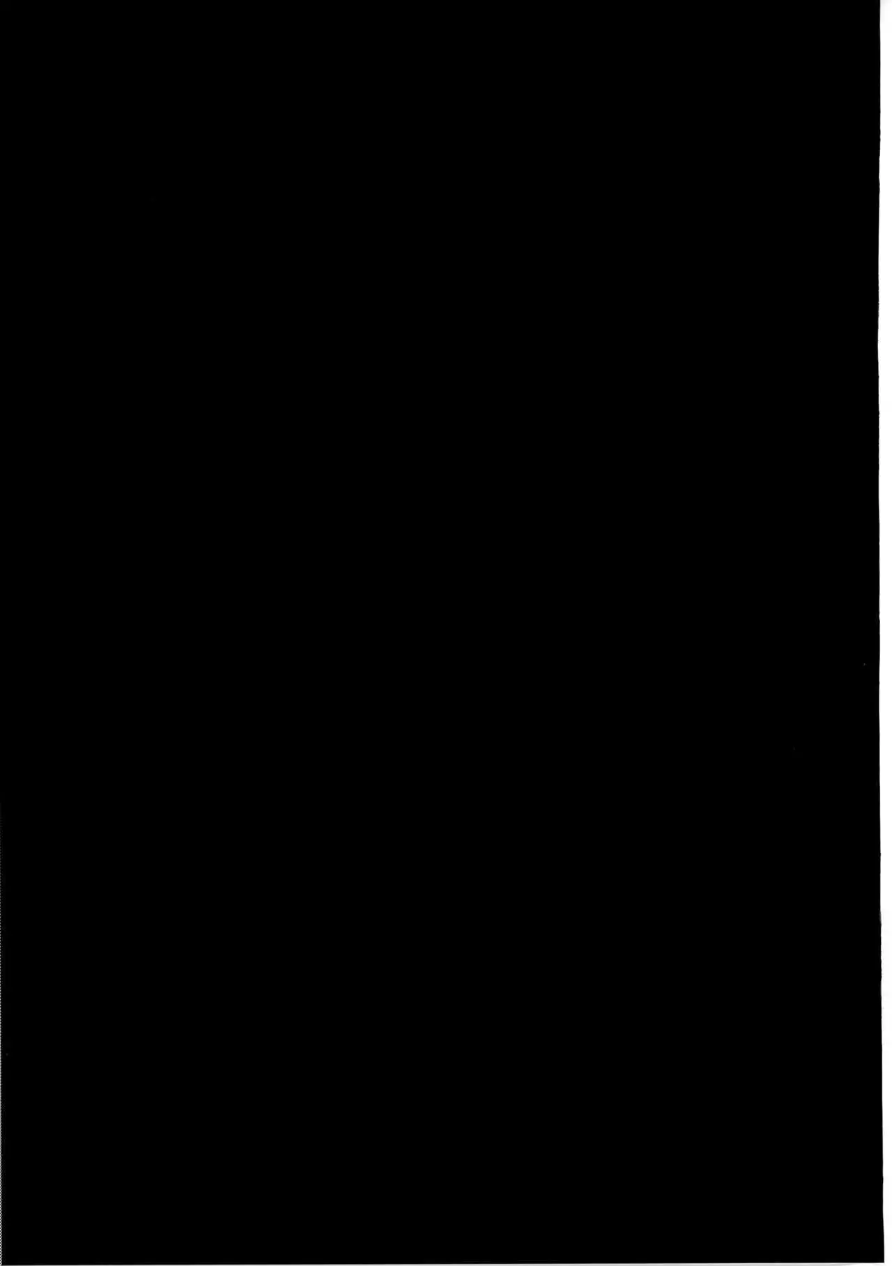 2B to be Saimin Benki