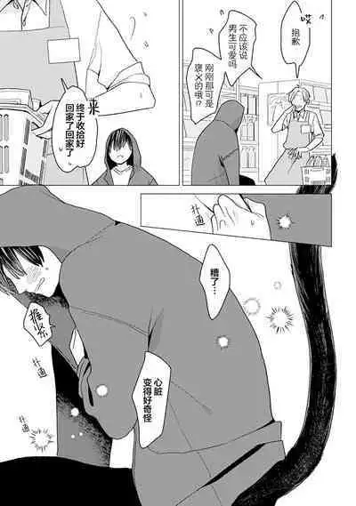 恋爱中的猫咪想被抚摸