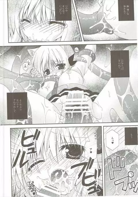 Kudamimi na Nyanko