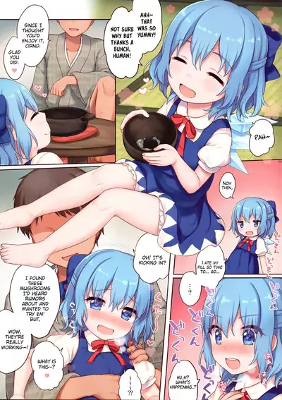 Kinokonabe Kimatteru?