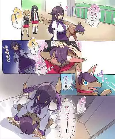 Nyotaika/TSF Summary!