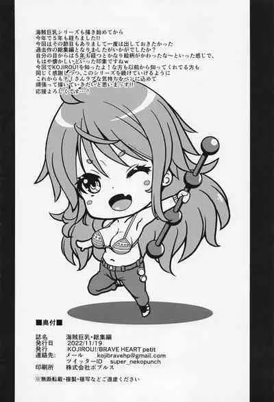 [BRAVE HEART petit] kaizokukyonyu・soshuhen (ONE PIECE)