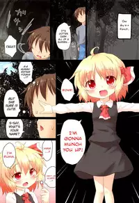 (C83) [Gainamon (Natsu no Koucha)] Nichijou Seikatsu -Rei- (Touhou Project) [English] [biribiri]