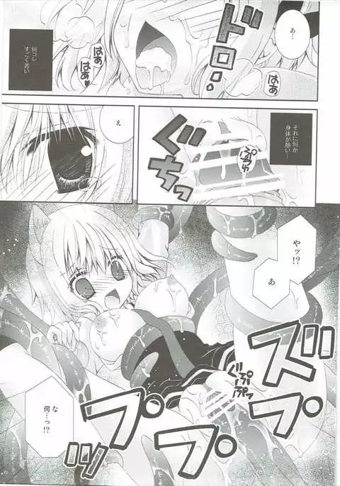 Kudamimi na Nyanko