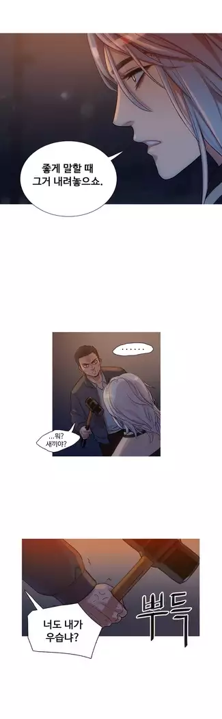 Scandal of the Witch Ch.0-32