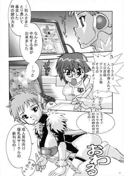 Shin Hanajuuroku VIII