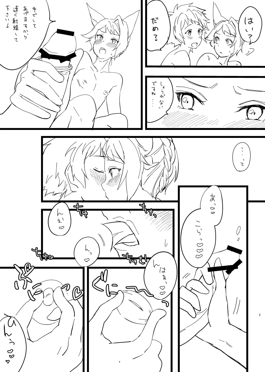 C91 Copy Hon + C93 Copy Hon