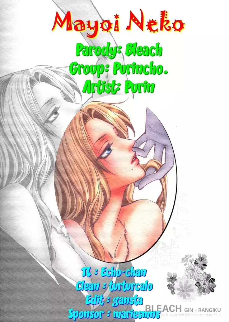 Mayoi Neko | Stray cat