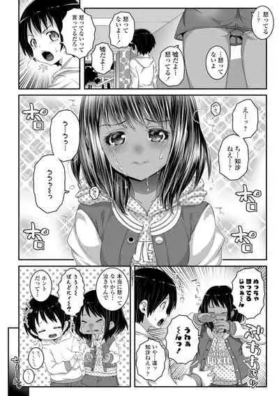 Soutaisei Virgin Theory