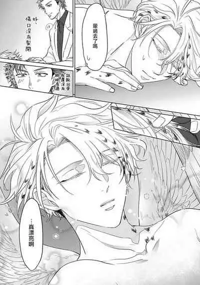 Fukurou no Koiwazurai | 猫头鹰的相思病