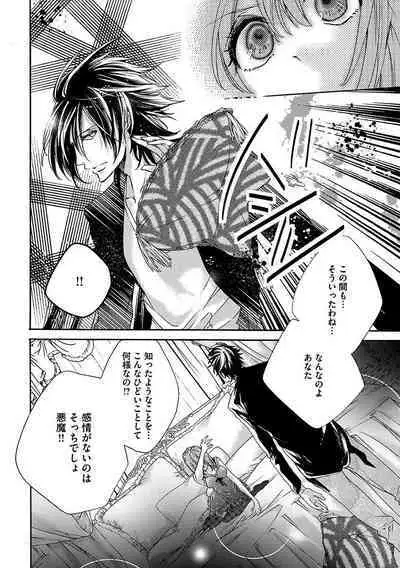 鬼畜兄弟の悶絶調教～私はいいなり奴隷～