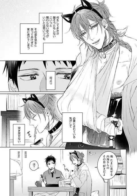 Nyaa to Nakukara Aishiteyo