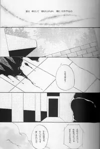 (C84) [clr, 12.5 (Akizou, Mizuki)] Answer (Resident Evil)