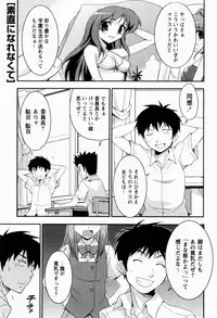 [Nippori] Daisy Blue