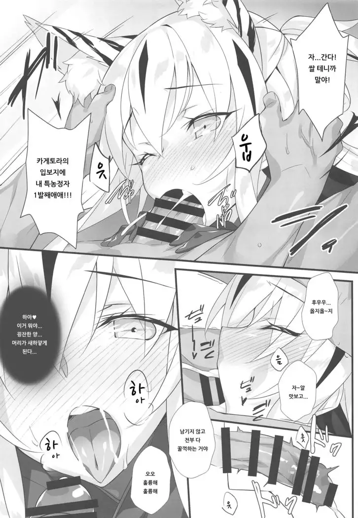 Tora Emaki | 호랑이 두루마리