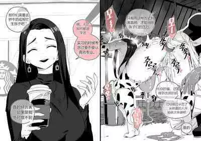 Collection（个人汉化）