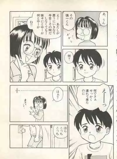 Shin Bishoujo Shoukougun 4 Houou hen