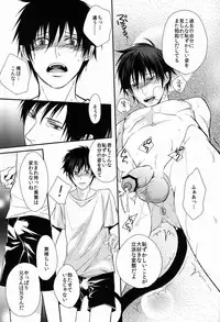 (C82) [FIZZCODE (Satonishi)] Dogra (Ao no Exorcist)