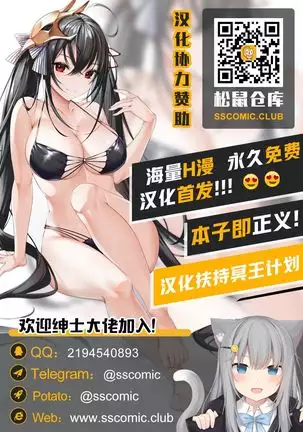 JOB STAR 13 【不可视汉化】