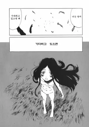 TOKYO RED HOOD Vol.03 -1