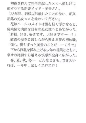 年上メイドの新婚日記