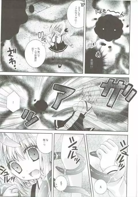 Kudamimi na Nyanko