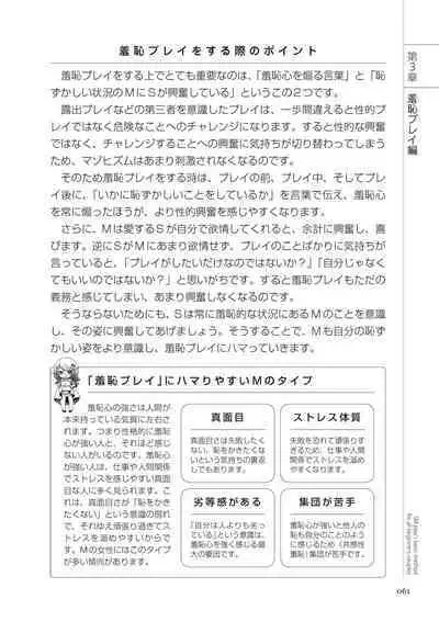 いますぐデキる 図説SMプレイマニュアル