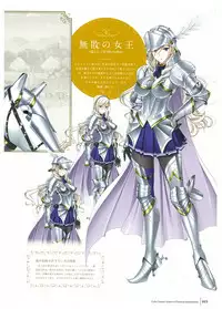 Walkure Romanze Visual Fan Book